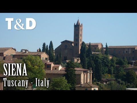 Siena, Italy 🇮🇹 Tourist Guide To Siena Travel Video