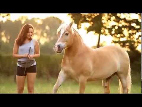 Incontri di amore di cavallo youtube