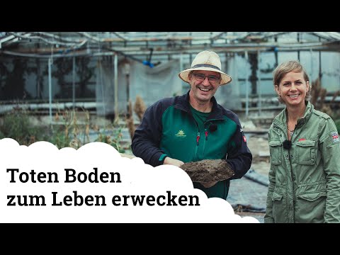 Video: Kann verdichteter Boden entdichtet werden?