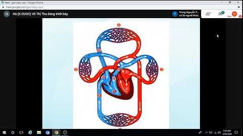 SUY TIM DƯỢC LÝ 2