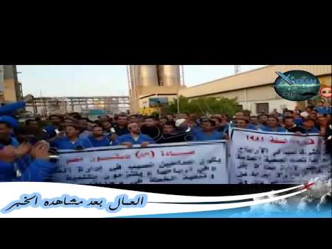 رد فعل العمال بعد قرار الراقصه دينا  18