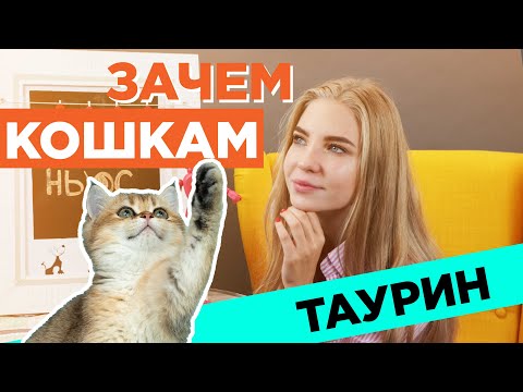 Видео: Что такое таурин и зачем он нужен кошкам?