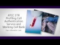 Cell Line Development Equipment Market 2018 Analysis and Forecast To
2023 By Recent Trends, Developments in Manufacturing Technology And
Regional Growth Overview Atcc Cell Line