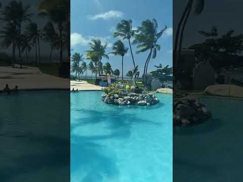 Litttle Paradise is OPEN!