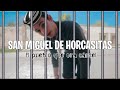 Video de San Miguel de Horcasitas