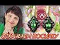 АЛЬКОР🌹Праздничный Выпуск🌹Золотые Украшения🌹Бирюза🌹Цаворит🌹Поздравления🌹Подарки🌹Леди Самоцвет