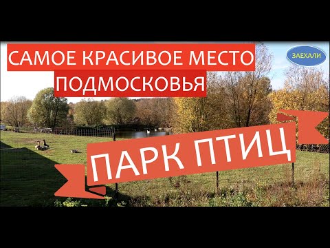 #путешествие#россия#паркптицворобьи НЕВЕРОЯТНО КРАСИВОЕ МЕСТО!! ПАРК ПТИЦ 