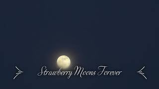 Welcome to Austin Texas: Strawberry Moons Forever