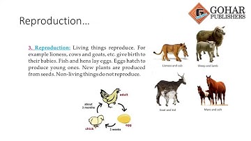 Skylark Science Book 1, Chapter 2, Lecture 2