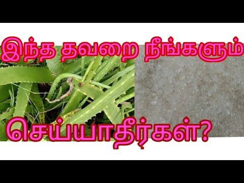 கற்றாழை ஜெல் இப்படி பயன்படுத்தினால் முகத்தில் தேம்பல் வரும்...