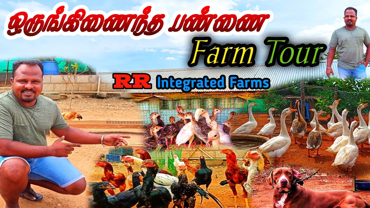 ஒருங்கிணைந்த பண்ணை இப்படி தான் இருக்கனுமா? | எனது பண்ணையில் ஒருநாள் | Integrated Farming | Farm Tour