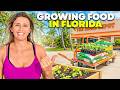 How I Started a Florida Backyard Garden 🌴 (Home Depot Raised Bed Build)