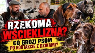 'Pseudo-rabies' is killing dogs! Aujeszky's disease. Veterinarian Maciej Perzyna explains