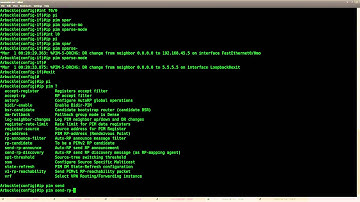 Multicast PIM NBMA lab in GNS3