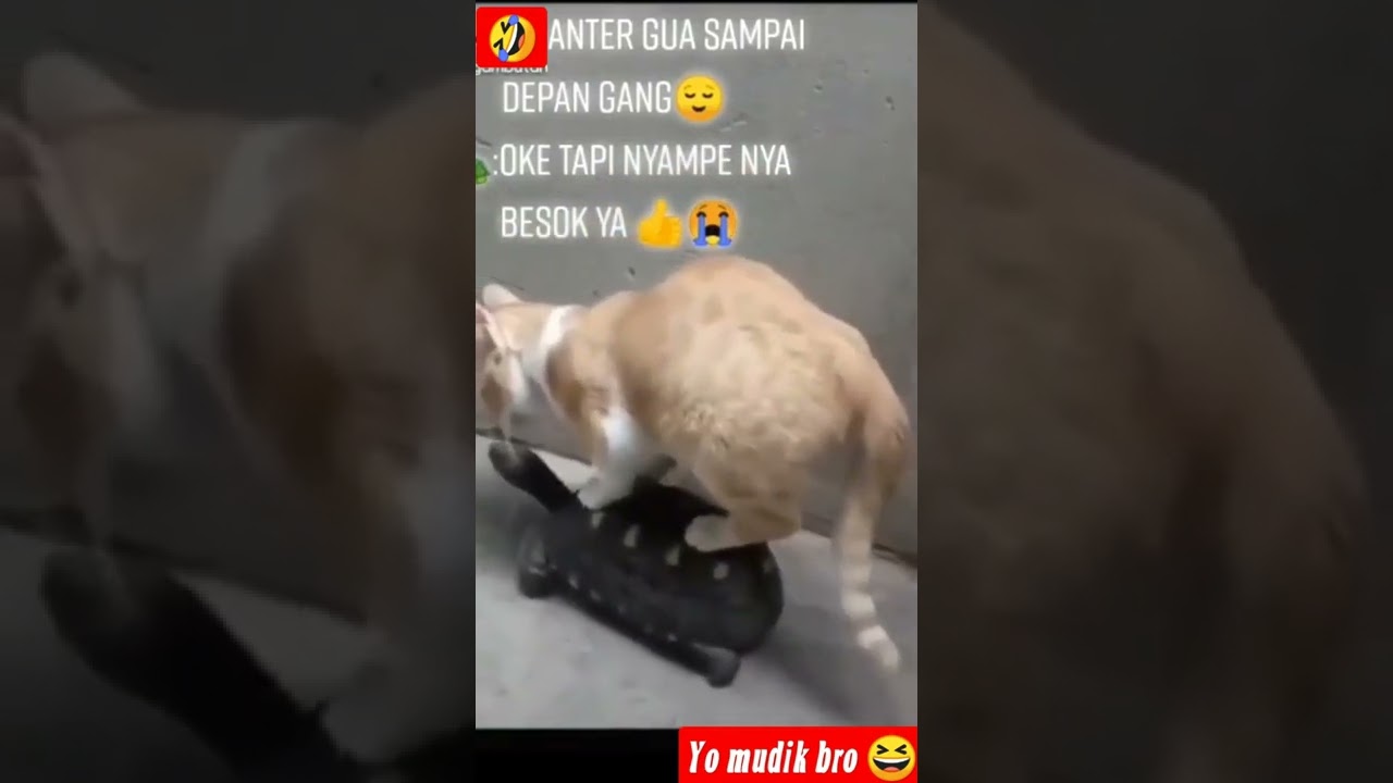 mudik bareng sobat lebaran taun depan baru nyampe