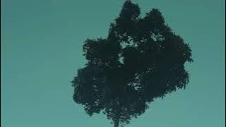 ---- SYAHIBA SAUFA [ FULL ALBUM 2020 ] -- Koplo Jaranan -- Lagu Dangdut Terbaru(720P_HD)_1