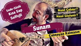 Kısa Sap 53.Ders-Sunam Uzun Hava Notalarsolfejanlatımçalma, Saz Dersi, Saz Kursu.