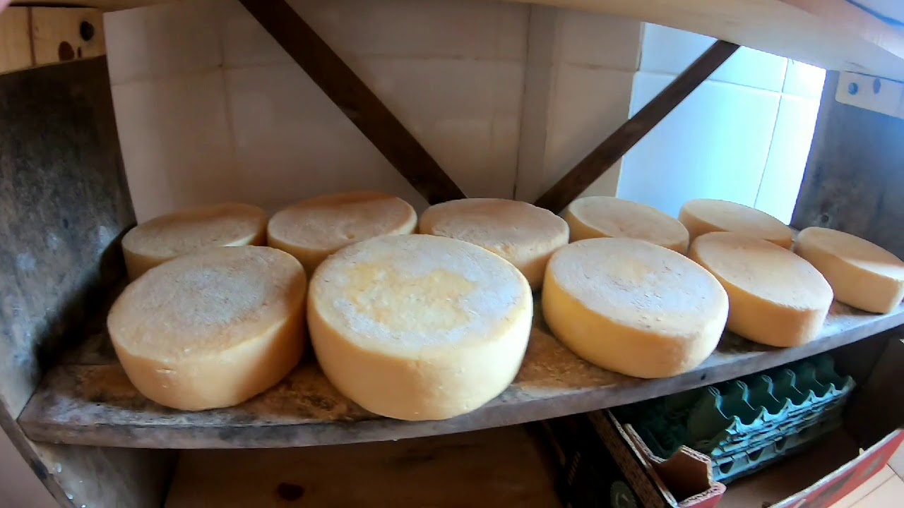 Fazendo o verdadeiro QUEIJO DA CANASTRA. YouTube Fazendo o verdadeiro QUEIJO DA CANASTRA. YouTube