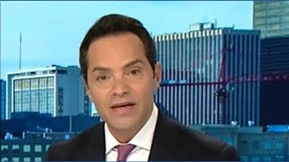 Roadrunner Spotted In Denver