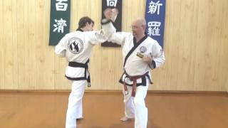 Hapkido - Martial Arts Video Training - Partnered Flow Drills