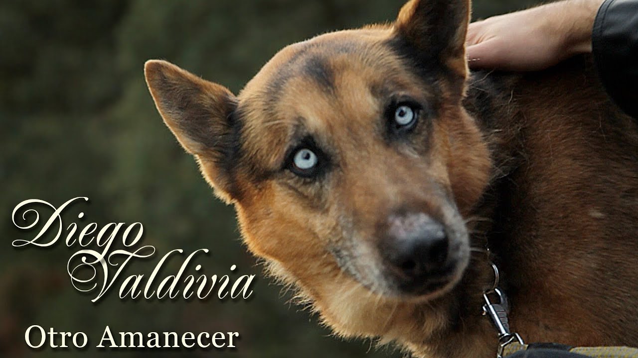 Otro Amanecer|Diego Valdivia