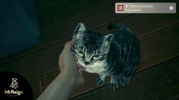 A.I.L.A PS5 Purrfect Interaction Jonisvaldo & Curiosity Department Trophy Guide