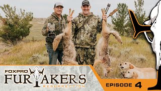 Swarmed By Coyotes In Montana | FOXPRO Furtakers Resurrection