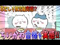 【ちいかわ】遂に合格を実感するちいかわ…ハチワレと共に喜びを嚙みしめる！【最新話】