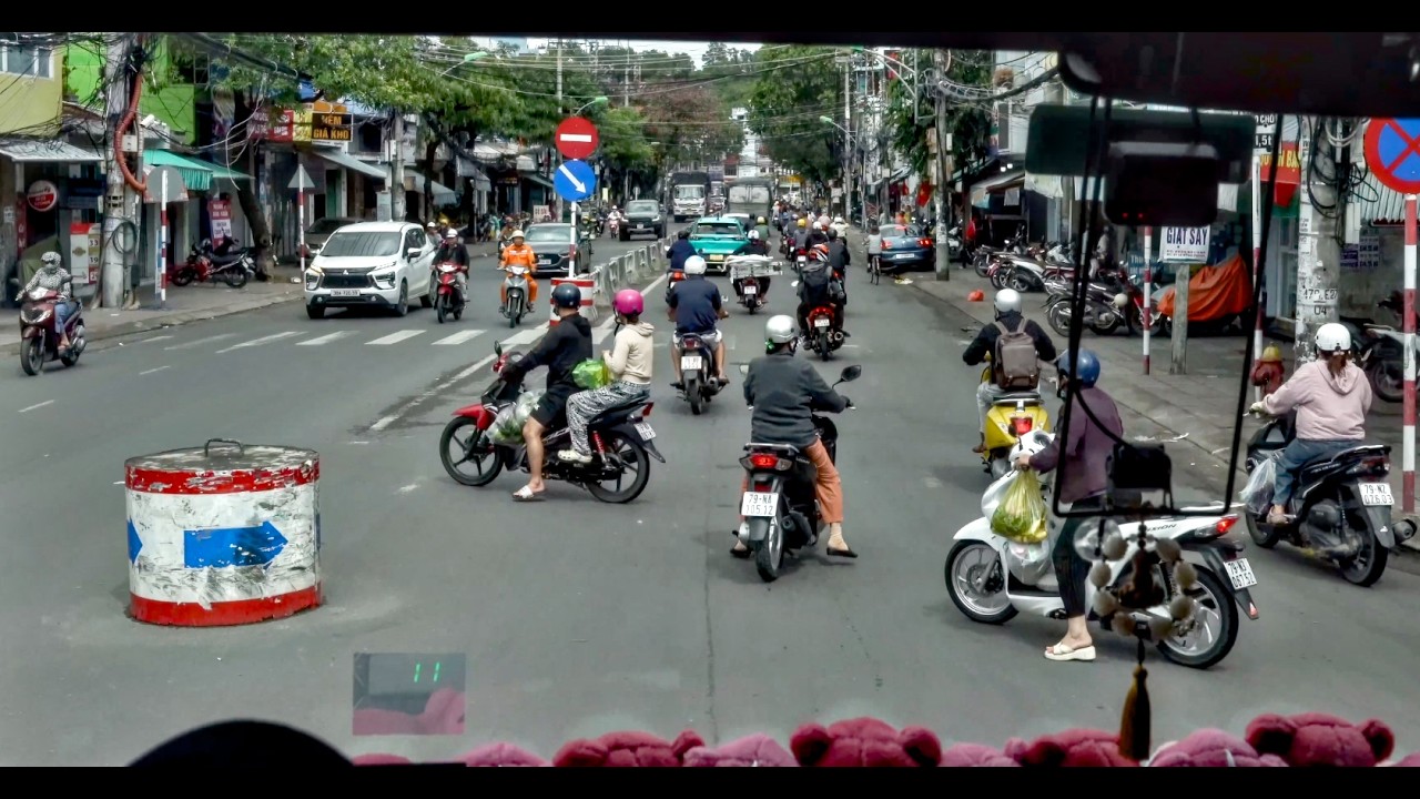 Cam Ranh Port to Cam Ranh City , Vietnam' 2026 / Diamond Princess' Group Tour #6