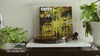 Screaming Trees - The Secret Kind #07 [Vinyl rip]