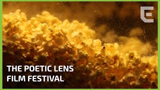 Poetic Lens Film Festival by dailyemerald 21 views 5 months ago 3 minutes, 17 seconds