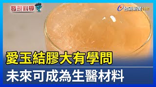 愛玉結膠大有學問未來可成為生醫材料【發現科學】 