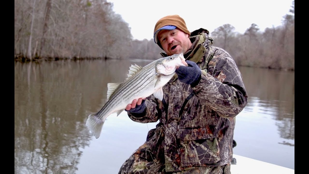 Roanoke Rippers Roanoke Stripers in the Snow | Carolina ALL OUT S-1 Ep/1 - YouTube