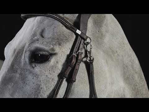 GFS Premier Prosperity Bridle - Product Video