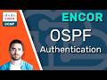 OSPF Authentication // CCNP ENCOR 350-401 Complete Course