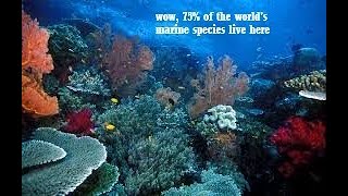 These 9 Tourist Attractions In Indonesia Are Worldwide