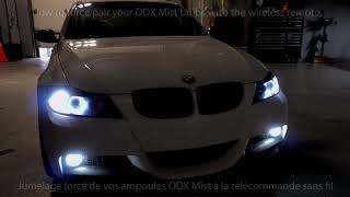 Odx Mist Forced Learning Jumelage Forcé