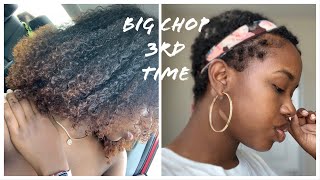 BIG CHOP NATURAL HAIR JOURNEY  | Liyah Moore