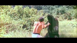 Chen Sing vs Kung Fu Gorilla