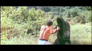 Chen Sing vs Kung Fu Gorilla