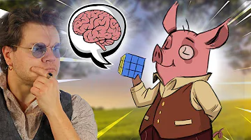 Est-ce que le cochon est intelligent ?