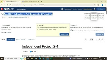 Excel 2021 In Practice   Ch 2 Independent Project 2-4|SIMnet Help Solution step by step Excel 2024