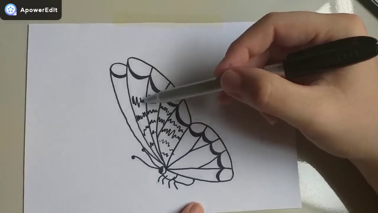 Desenhos Fáceis De Fazer Como Desenhar Borboleta Muito Bonito Youtube