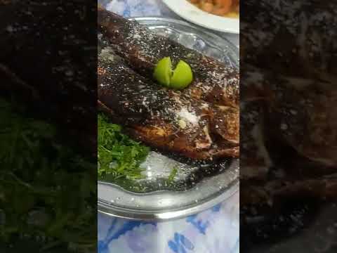 سوق السمك بورسعيد اسعار تحفه والسمك ملوش حل