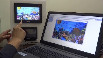 FP4 VNC SERVER Functionality