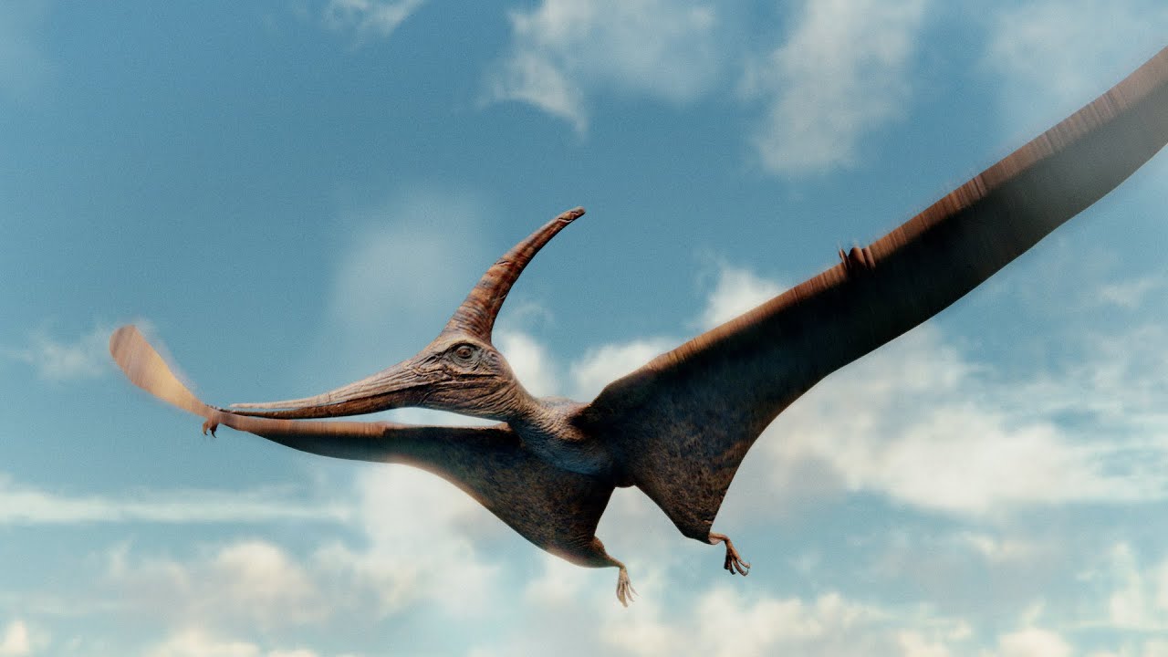 Pterodactyl youtube Clearance