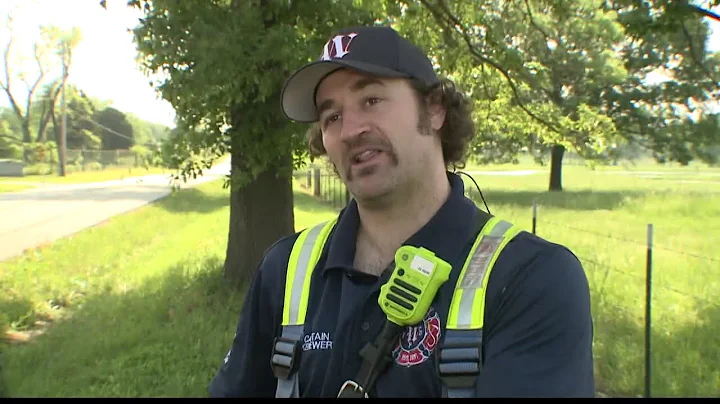 Pregnant cow rescued from muddy mess