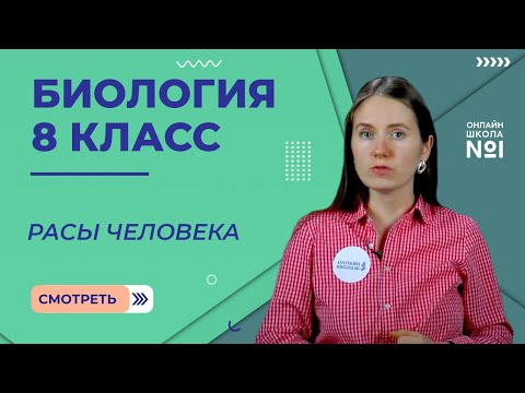 Расы человека. Видеоурок 4. Биология 8 класс