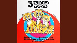 Video thumbnail of "Três Tristes Tigres - Solo Otra Vez"