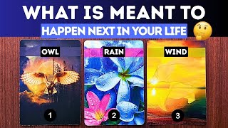 What's Meant To Happen Next In Your Life?⏐TAROT • pick a card